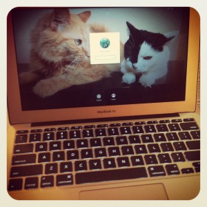 where the magic happens