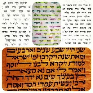 statges of learning torah reading; photo by salem pearce (via instagram)