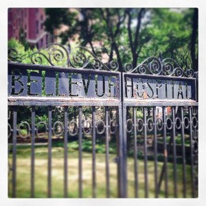bellevue hospital gate; photo by salem pearce